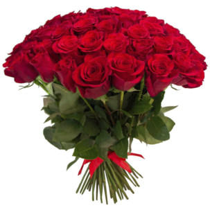 Розы Эквадор в Урюпинске - Купить с доставкой по цене от 225 руб.